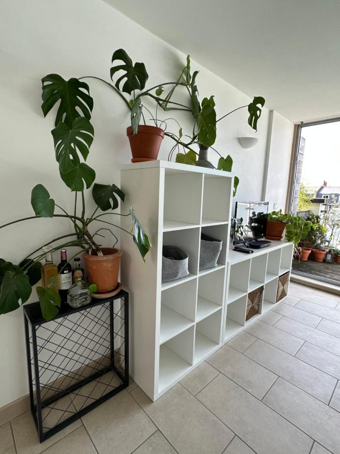 Bright And Airy Islington Apartment ロンドン エクステリア 写真